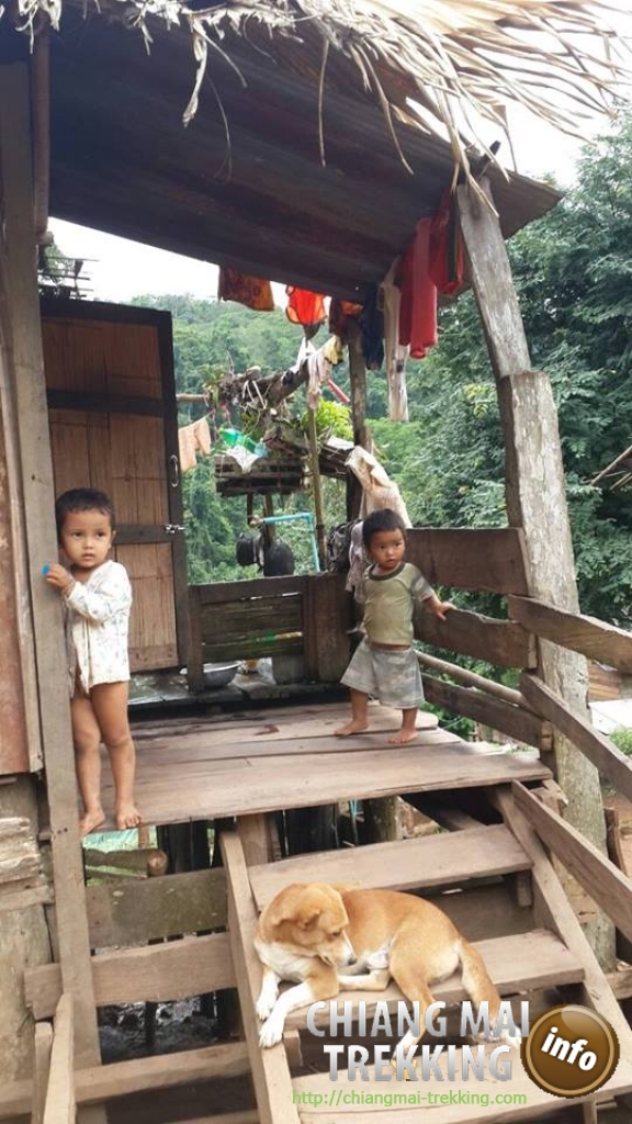 2-days/1-night Trekking Tour | Chiang Mai Trekking | Le meilleur trekking &agrave; Chiang Mai avec Piroon Nantaya